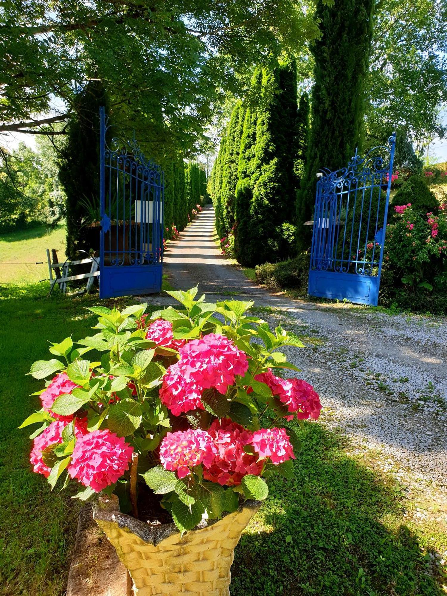 La Ferme De Jeanne Bed and Breakfast Saint-Girons  Exteriör bild